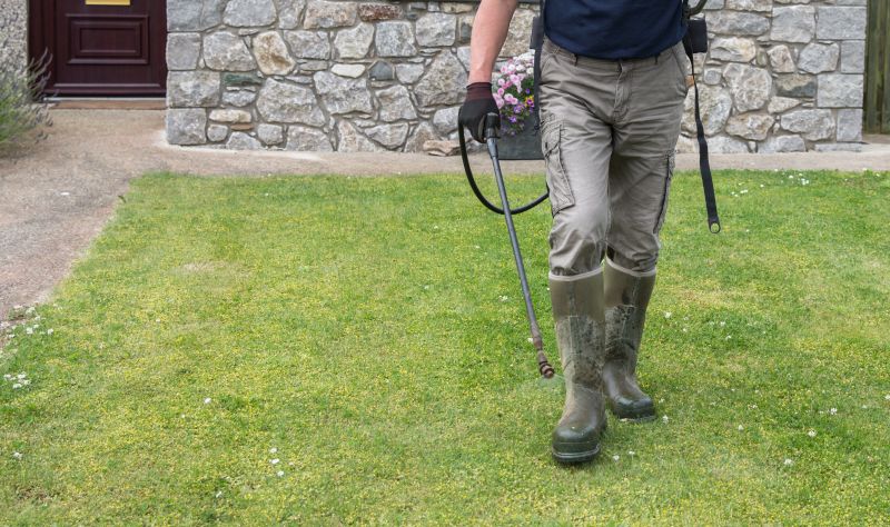 Lawn Weed Treatment Service
