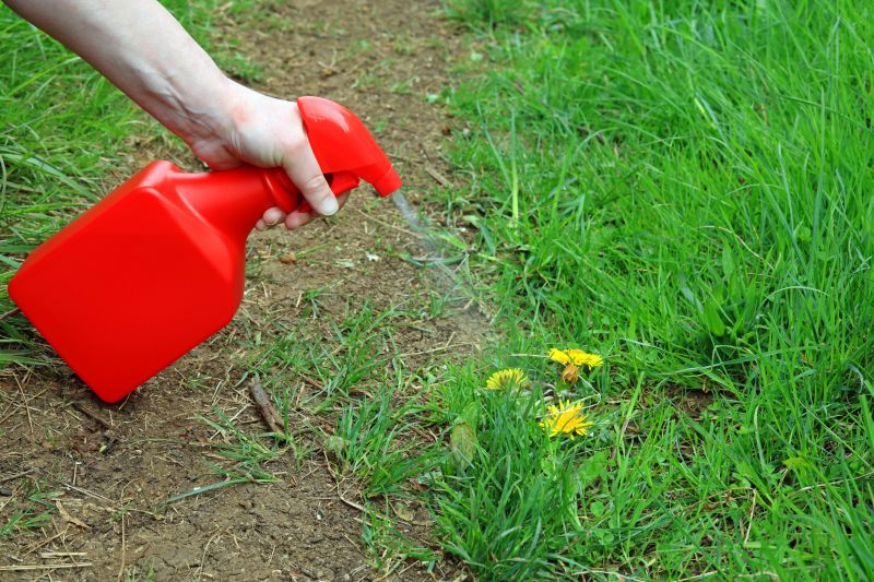 Lawn Herbicide Treatment